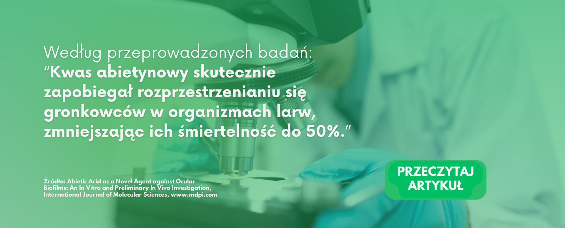 Skuteczność kwasu abietynowego w zwalczaniu biofilmów bakteryjnych